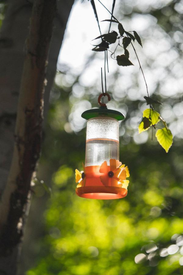 El Colibri Cabanas De La Naturaleza Trelew Exterior foto